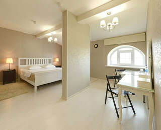 Гостиница Провинция Березовский Большой двухместный номер с 1 кроватью-1