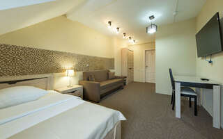 Гостиница Провинция Березовский Большой двухместный номер с 1 кроватью-4